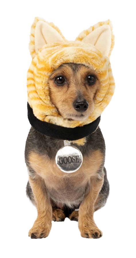 goose costume for dog|goose captain dog and cat costume.